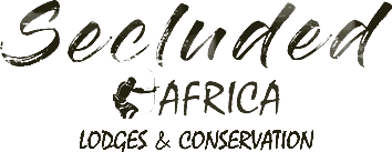Secluded Africa