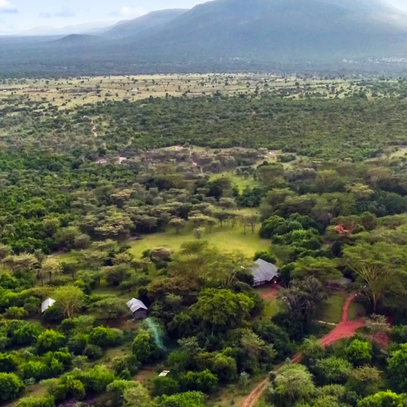 Instinct of the Mara: Architecture photography, Social media content creation