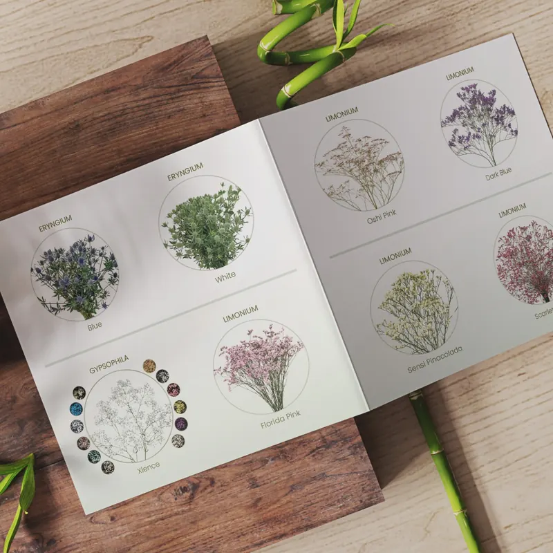 Omega Blooms, image 3 of 3