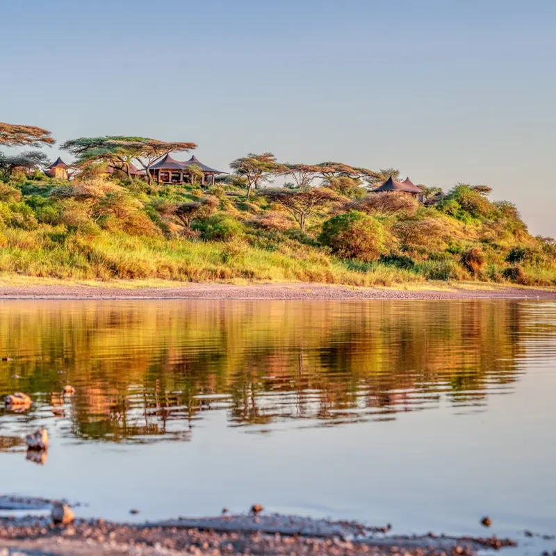 Simbavati Lake Ndutu, image 3 of 3
